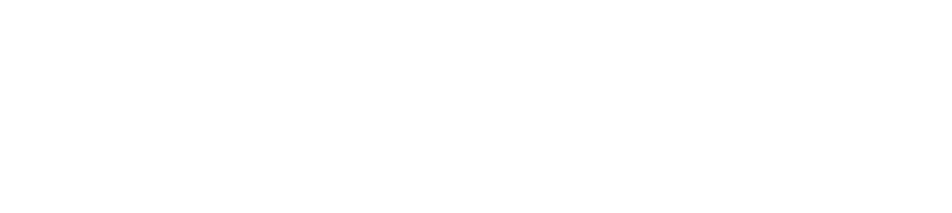 Ava Max Official Store logo